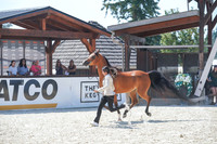 2024 - WCB - July 18 - 02856