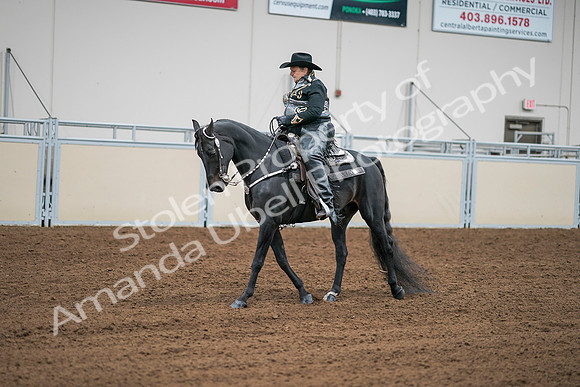 2020 - AB Morgan Horse - Sat, Sept 05 - 08955