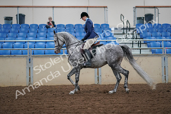 2019 Morgan Horse Show - Aug 30, 2019 - 16061