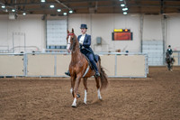 2020 - AB Morgan Horse - Sat, Sept 05 - 11370