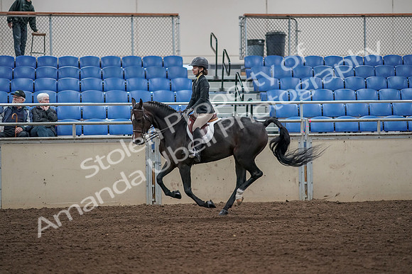 2019 Morgan Horse Show - Aug 31, 2019 - 05033