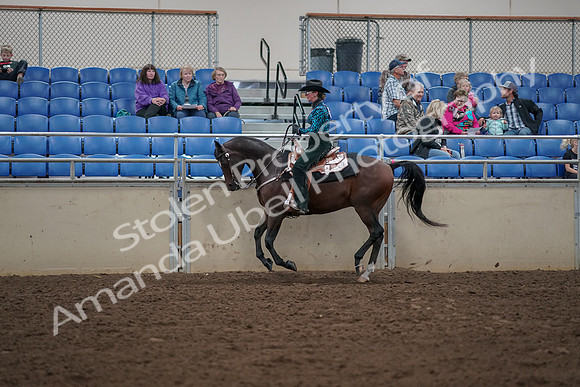 2019 Morgan Horse Show - Aug 30, 2019 - 26062
