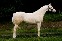 other breeds - 002