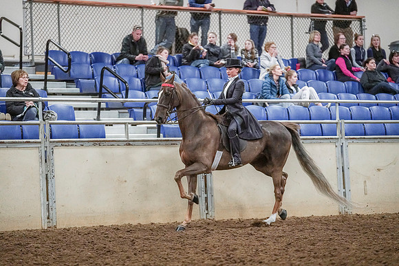 Spring Fling - Saturday - April 20, 2019  -  04128