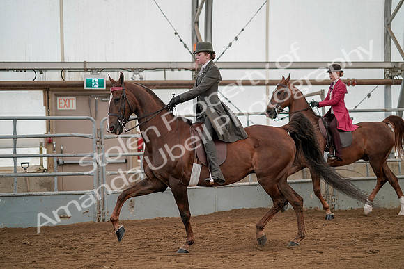 July 20, 2019 - 02216