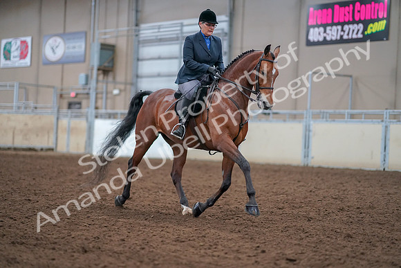 2019 Morgan Horse Show - Aug 30, 2019 - 20891