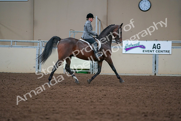 2019 Morgan Horse Show - Aug 30, 2019 - 20673