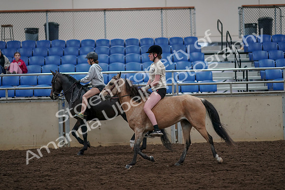 2019 Morgan Horse Show - Aug 30, 2019 - 31236