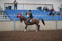 2019 Morgan Horse Show - Aug 31, 2019 - 15861