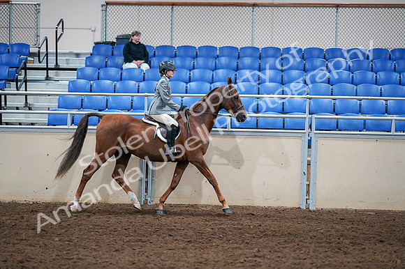 2020 - AB Morgan Horse - Fri, Sept 04 - 03176