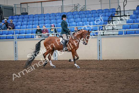 2020 - AB Morgan Horse - Sat, Sept 05 - 05104