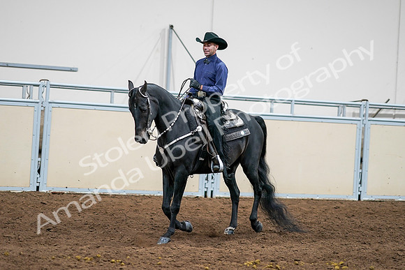 2020 - AB Morgan Horse - Sun, Sept 06 - 07600