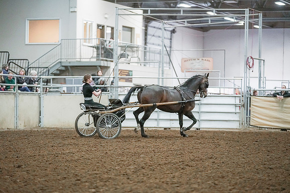 Spring Fling - Saturday - April 20, 2019  -  00288