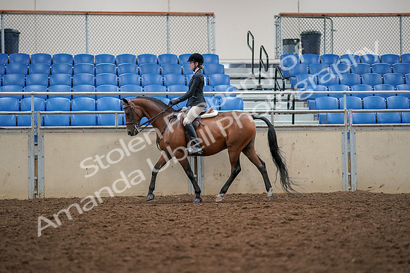 2019 Morgan Horse Show - Aug 30, 2019 - 23145