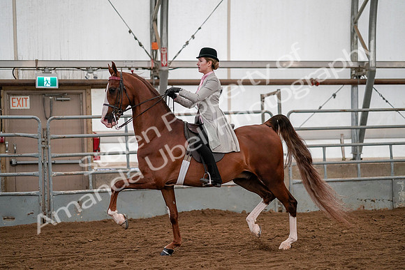July 19, 2019 - 10438