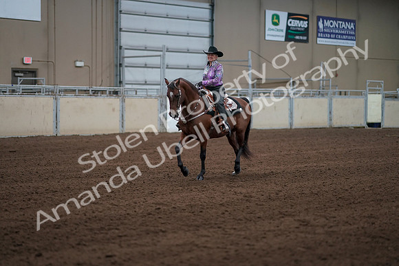 2019 Morgan Horse Show - Sept 01, 2019 - 07195