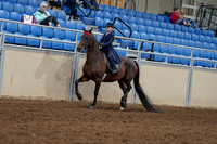 2020 - AB Morgan Horse - Fri, Sept 04 - 03623
