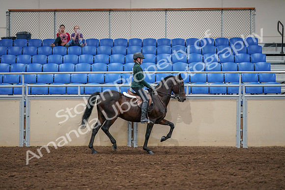 2020 - AB Morgan Horse - Sat, Sept 05 - 05058