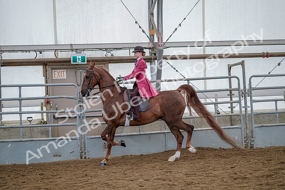 July 20, 2019 - 14506