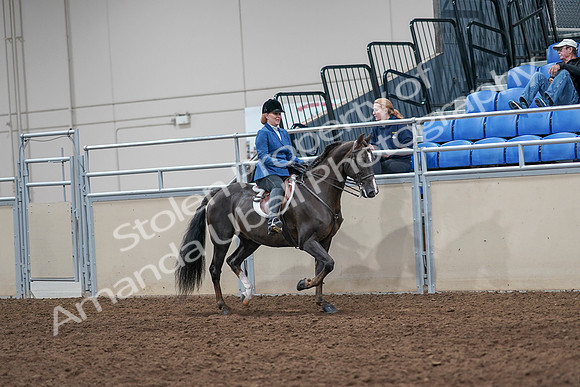 2020 - AB Morgan Horse - Sat, Sept 05 - 05074