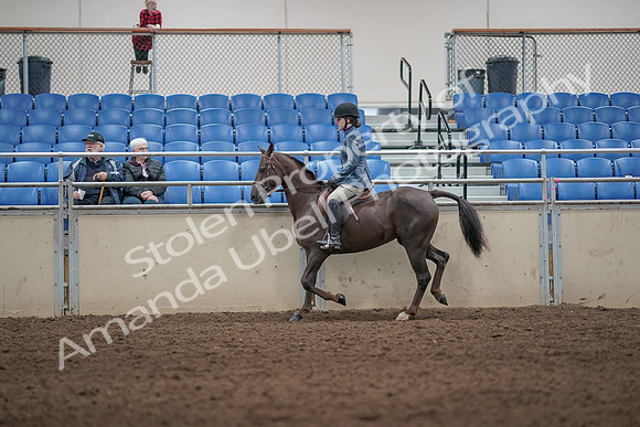 2019 Morgan Horse Show - Aug 31, 2019 - 07202