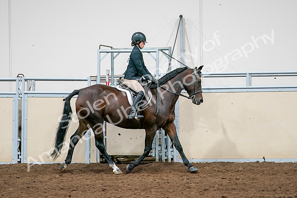 2020 - AB Morgan Horse - Sat, Sept 05 - 14550