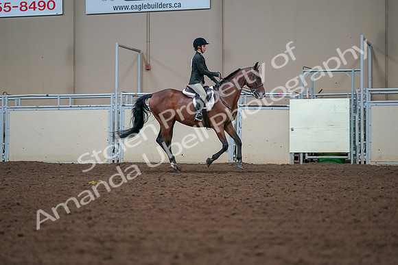 2019 Morgan Horse Show - Aug 30, 2019 - 21035