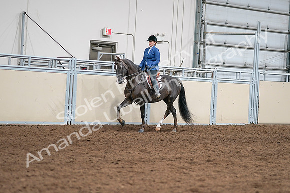 2020 - AB Morgan Horse - Sat, Sept 05 - 04980