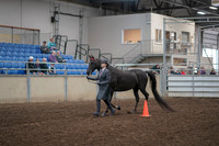 2019 Morgan Horse Show - Aug 31, 2019 - 02102