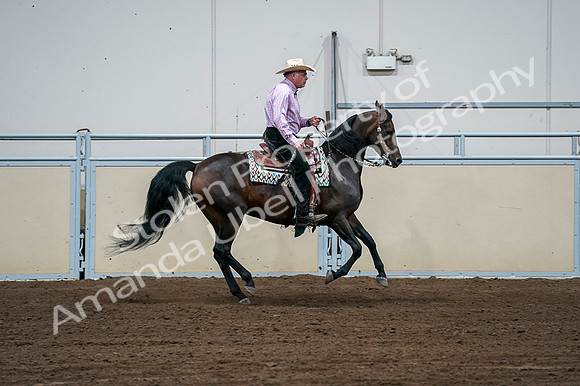 2020 - AB Morgan Horse - Fri, Sept 04 - 00565