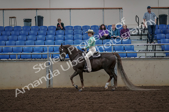 2019 Morgan Horse Show - Aug 30, 2019 - 25952