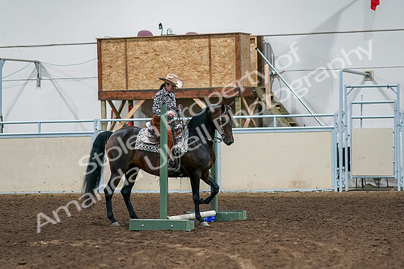 2020 - AB Morgan Horse - Fri, Sept 04 - 00353