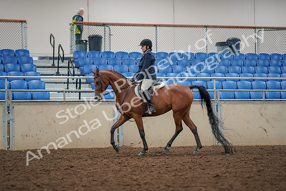 2019 Morgan Horse Show - Aug 30, 2019 - 22265