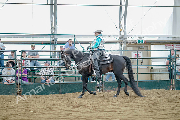 July 21, 2019 - 09115