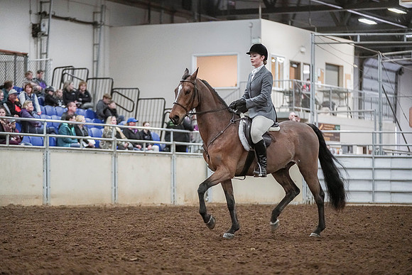 Spring Fling - Saturday - April 20, 2019  -  03742
