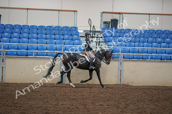 2019 Morgan Horse Show - Aug 30, 2019 - 12464