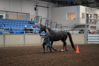 2019 Morgan Horse Show - Aug 31, 2019 - 02109