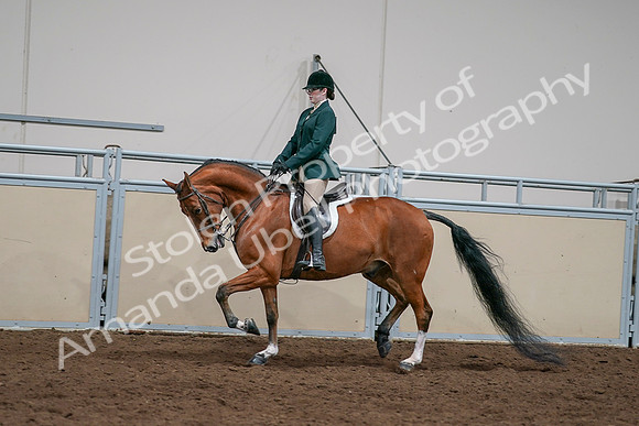 2020 - AB Morgan Horse - Sat, Sept 05 - 05022