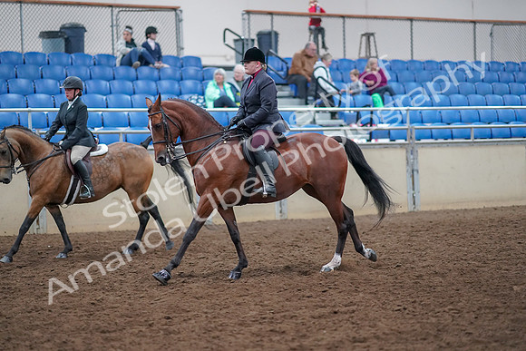 2019 Morgan Horse Show - Aug 30, 2019 - 20515