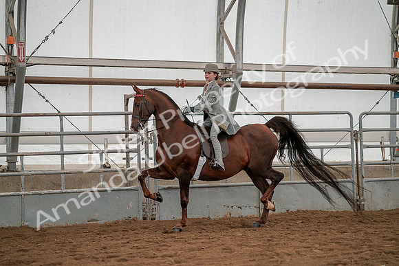 July 19, 2019 - 3983
