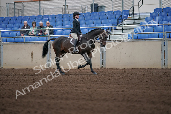 2019 Morgan Horse Show - Sept 01, 2019 - 03927