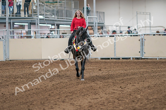 2020 - AB Morgan Horse - Sat, Sept 05 - 10521