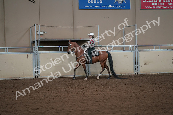 2019 Morgan Horse Show - Aug 30, 2019 - 25986