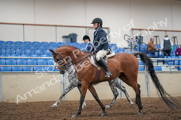 2019 Morgan Horse Show - Aug 30, 2019 - 22456