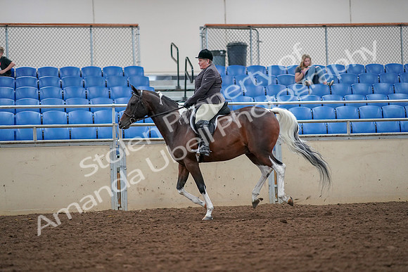 2019 Morgan Horse Show - Aug 30, 2019 - 16341