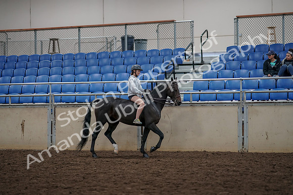 2019 Morgan Horse Show - Aug 30, 2019 - 31376