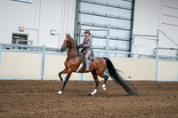 2020 - AB Morgan Horse - Sat, Sept 05 - 12085