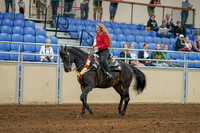 2020 - AB Morgan Horse - Sat, Sept 05 - 10357