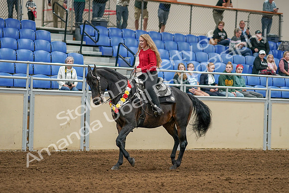 2020 - AB Morgan Horse - Sat, Sept 05 - 10357