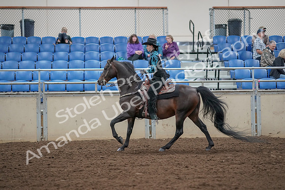 2019 Morgan Horse Show - Aug 30, 2019 - 26093